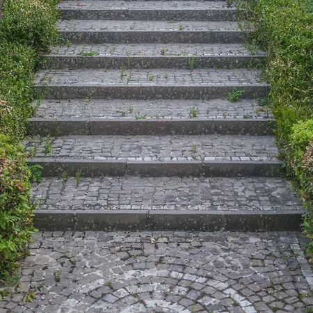 In Vigna